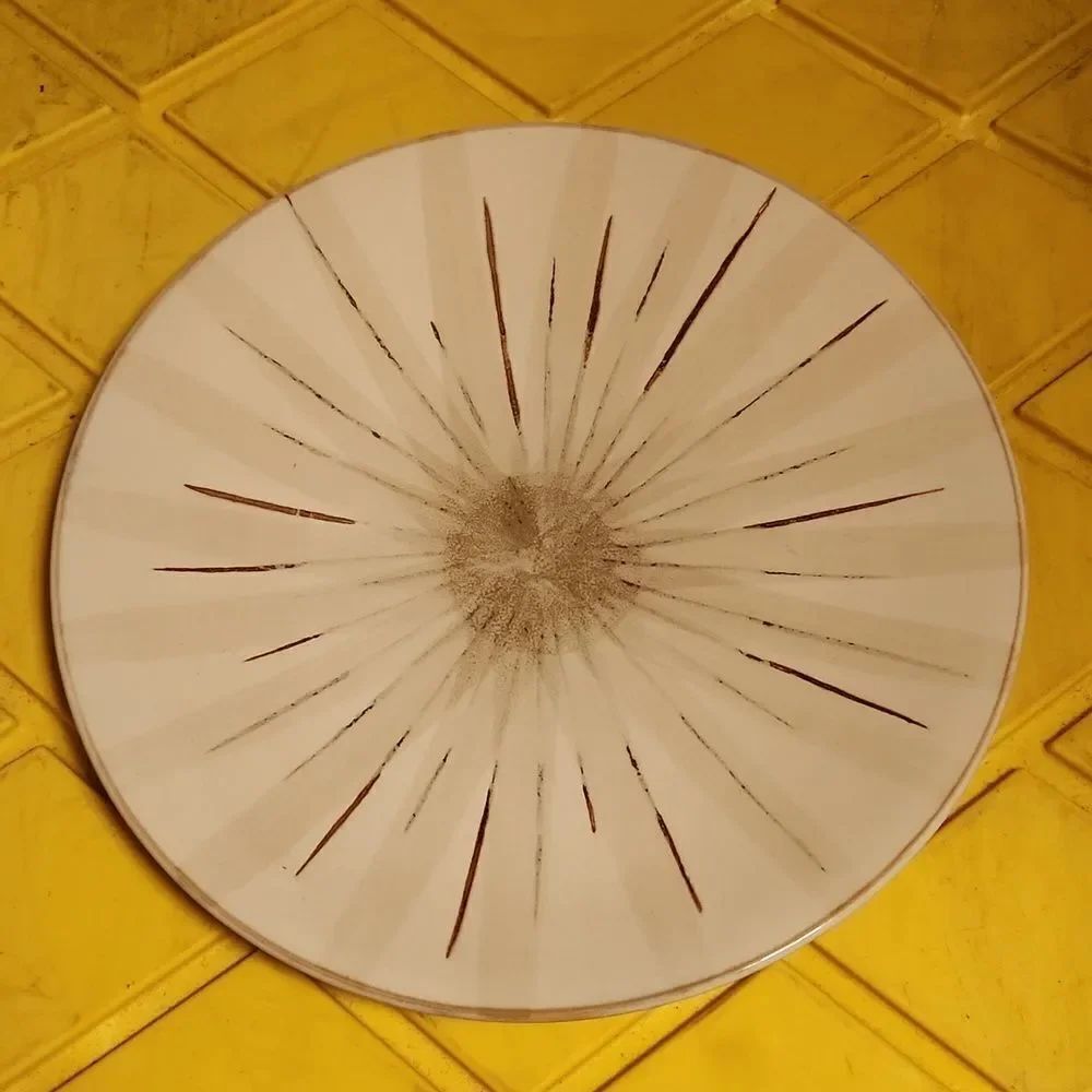 Pier 1 Sanctuary Dinner Plate 11.5"